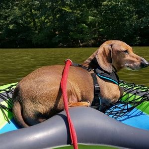 Meet your Posher, Jerry